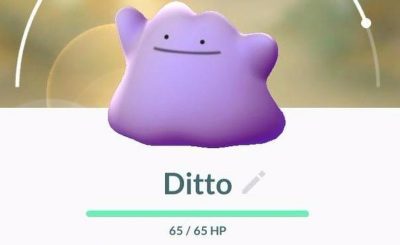 Pokémon Ditto - Pokédex