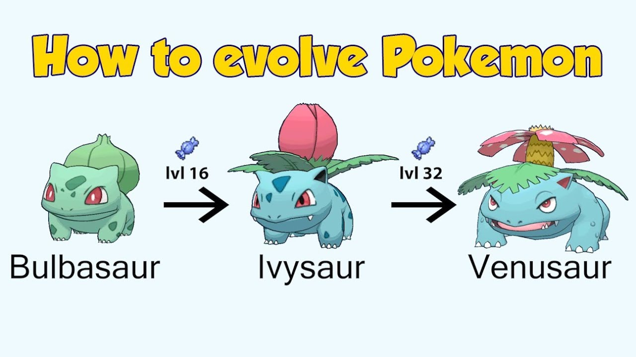 See all bulbasaur evolutions and at what level it evolves in the Pokémon franchise. Also see its characteristic and type of pokémon that it is.